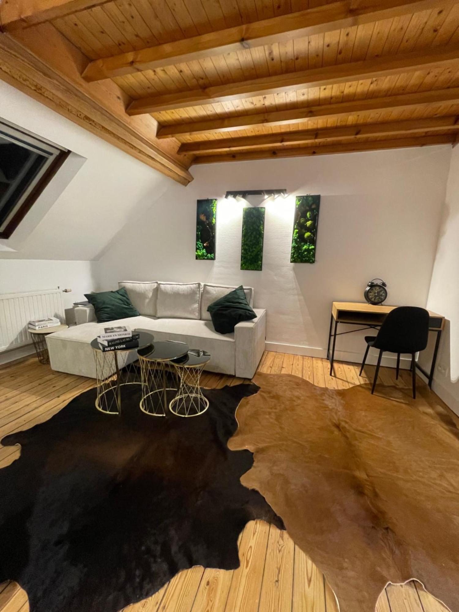 Апартаменты Attic European Quarter Брюссель Экстерьер фото